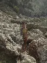 unnamed (63).webp