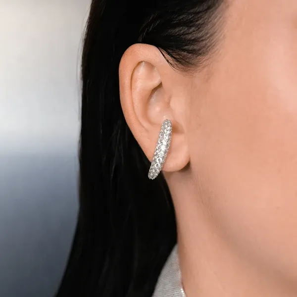VIF_EARHUG_SILVER_EAR (1).webp