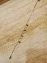 IMG_20260917_141007.webp