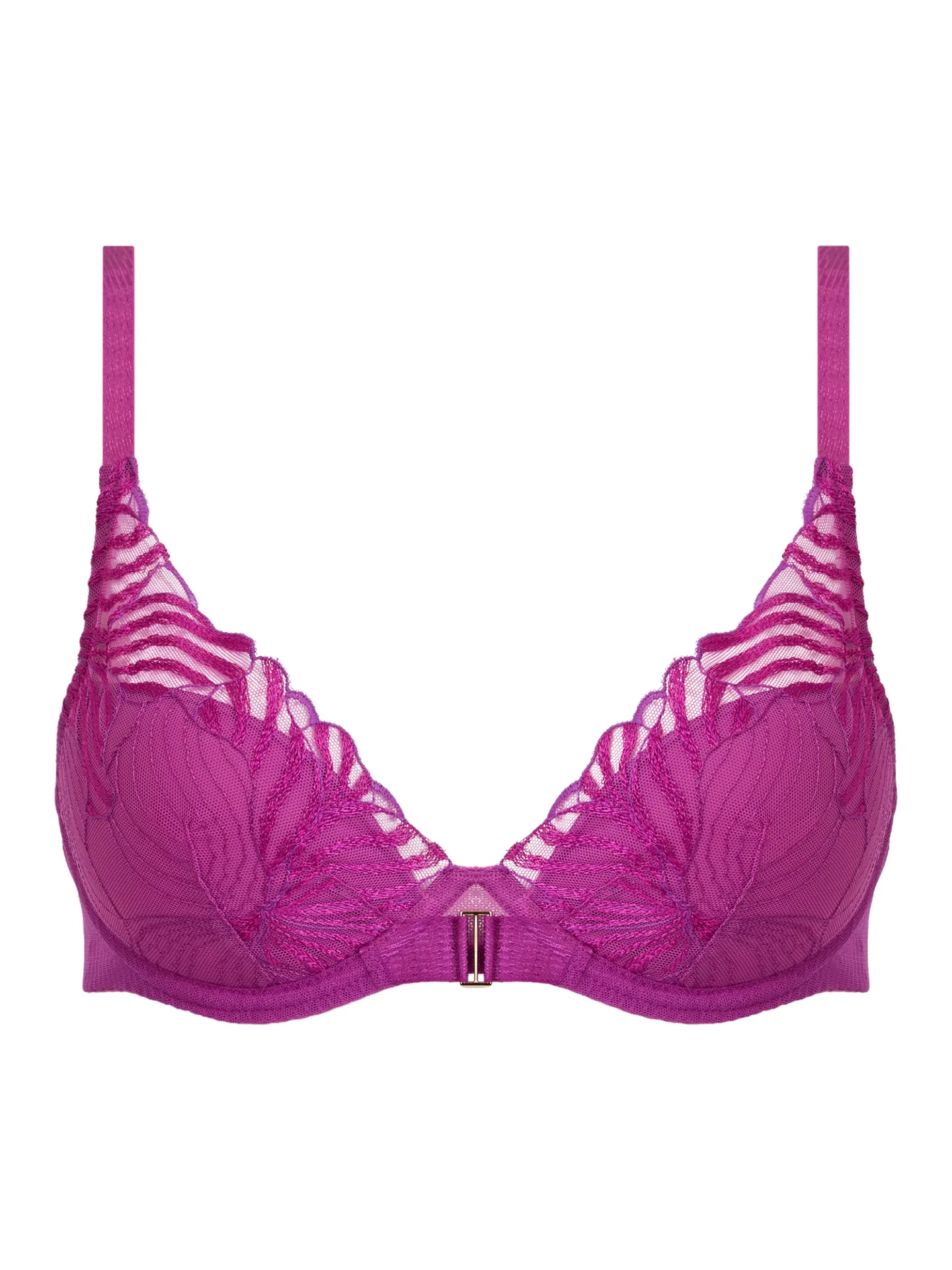 SOUTIEN-GORGE PLONGEANT LEGEND ORCHID