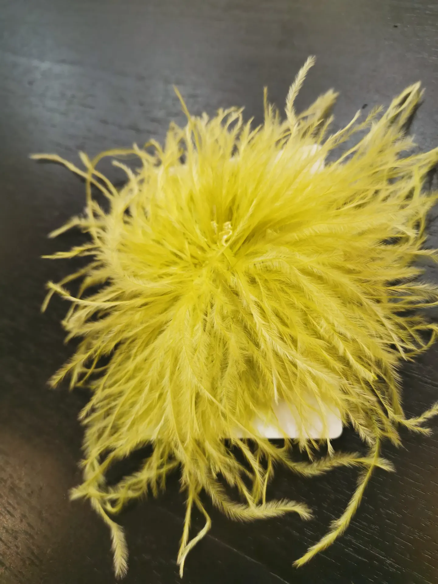 BROCHE PLUME diam lime
