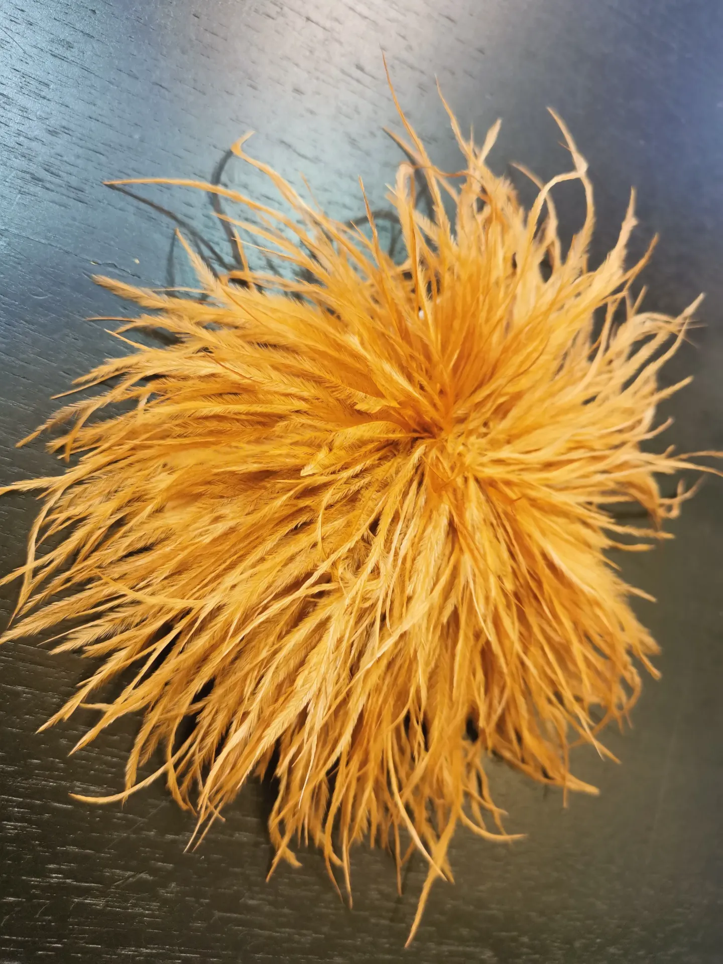 BROCHE PLUME brick