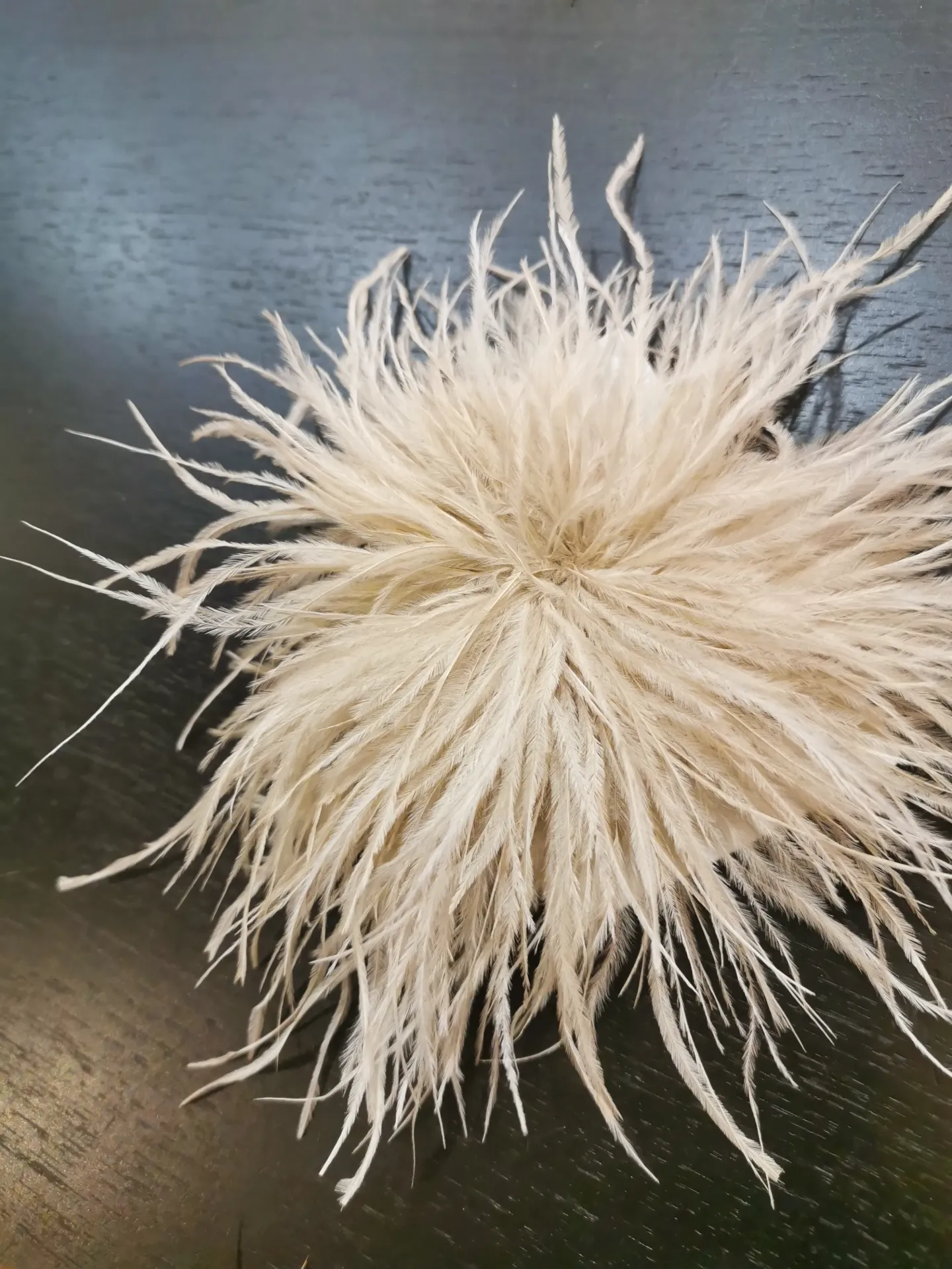 BROCHE PLUME beige