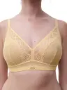 SOUTIEN-GORGE TOURNESOL ORIGINS  