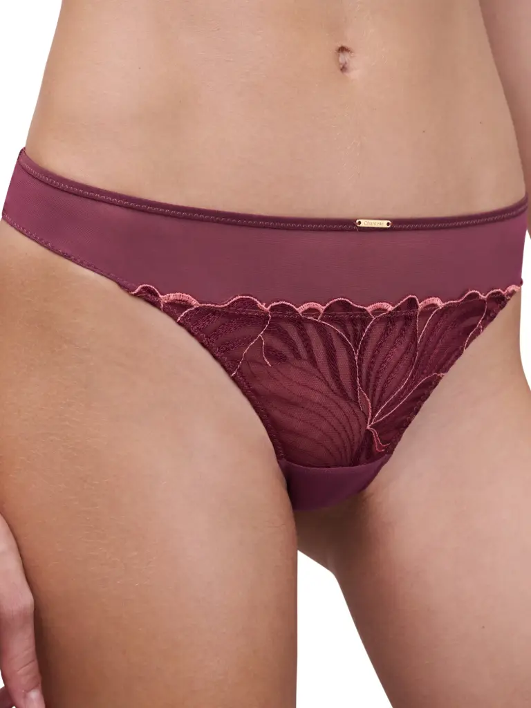 TANGA LEGEND BORDEAU 