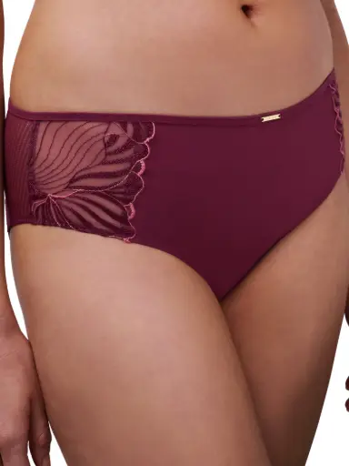 SHORTY LEGEND BORDEAU